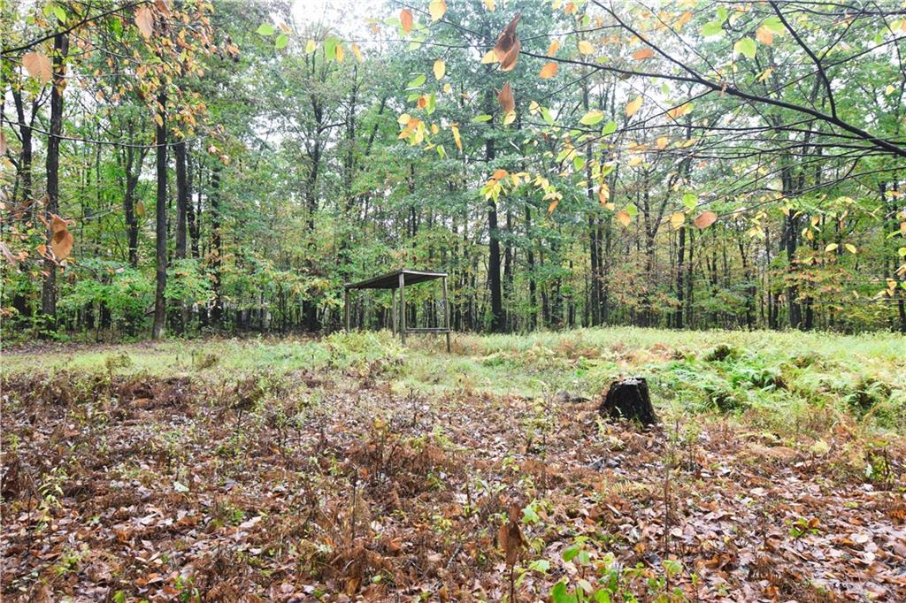 0 East State Road Seneca, PA 16346 - Photo 7 of 13 a view of backyard with green space