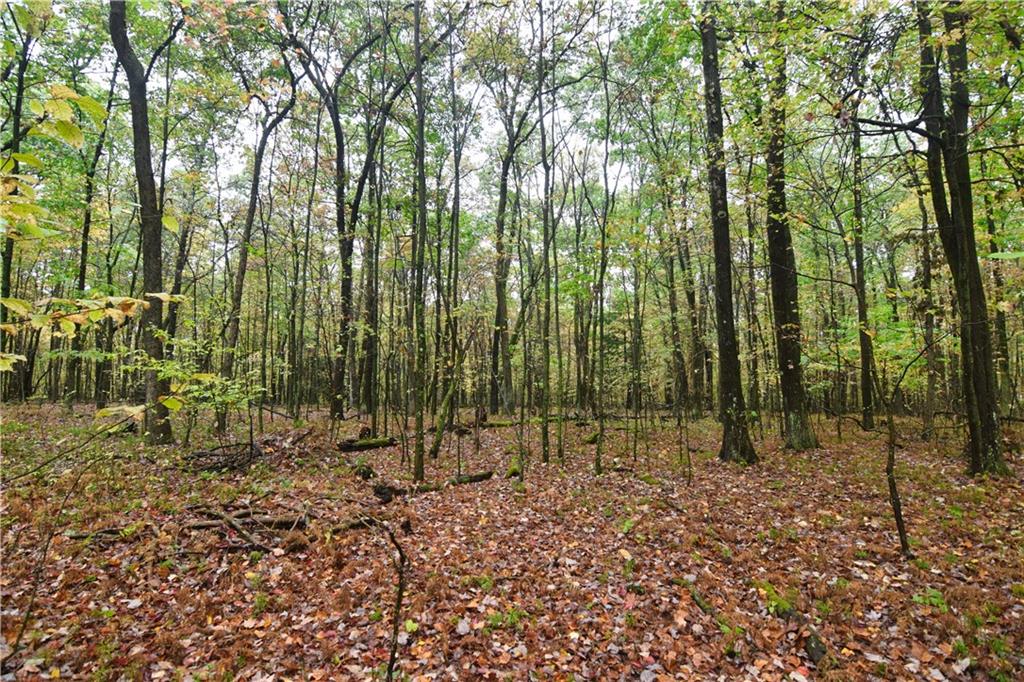 0 East State Road Seneca, PA 16346 - Photo 9 of 13 a view of outdoor space with lots of trees