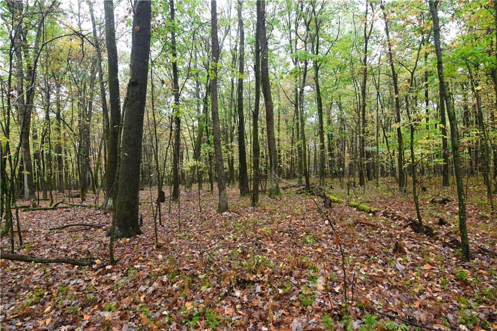 0 East State Road Seneca, PA 16346 - Photo 10 of 13 a view of outdoor space with lots of trees