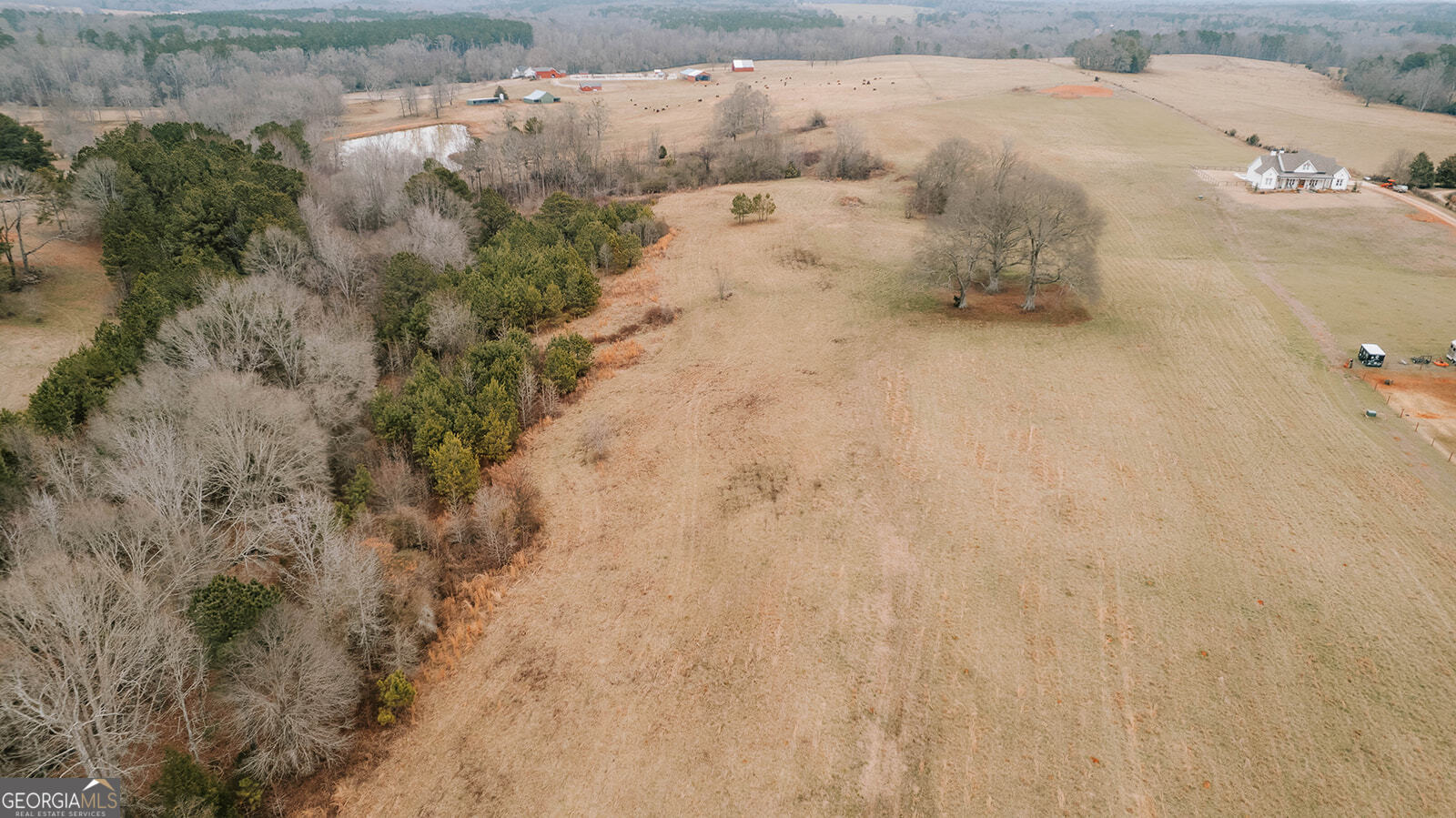 0 Sandy Creek Road, Unit TRACT 4 Madison, GA 30650 - Photo 5 of 15