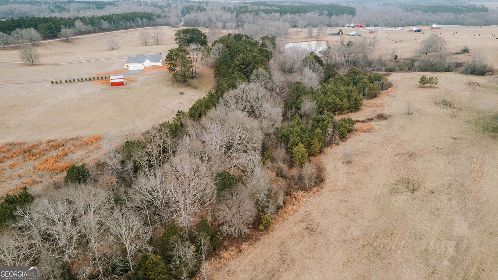 0 Sandy Creek Road, Unit TRACT 4 Madison, GA 30650 - Photo 6 of 15
