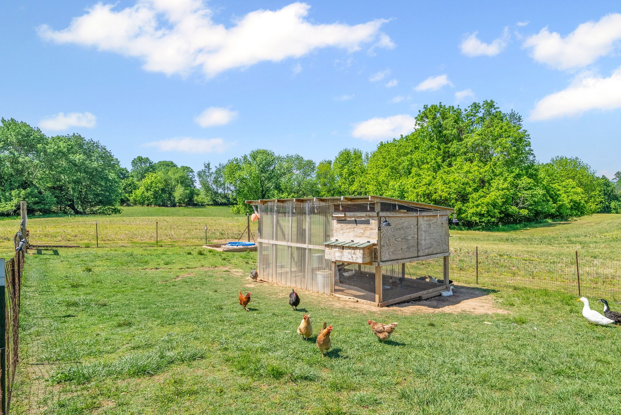 6026 Buzzard Creek Road Cedar Hill, TN 37032 - Photo 38 of 58