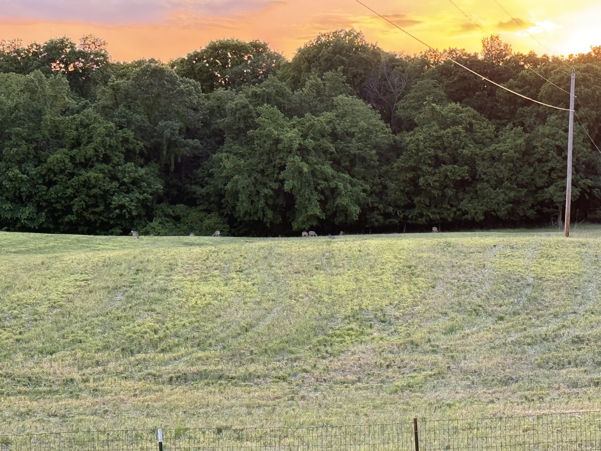 6026 Buzzard Creek Road Cedar Hill, TN 37032 - Photo 58 of 58