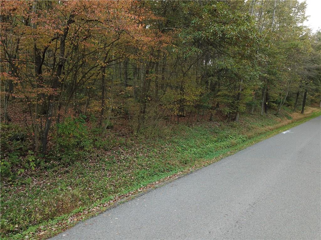 Lot#3 Robinson Run Road Butler, PA 16002 - Photo 3 of 16 a view of a wooden fence and floor