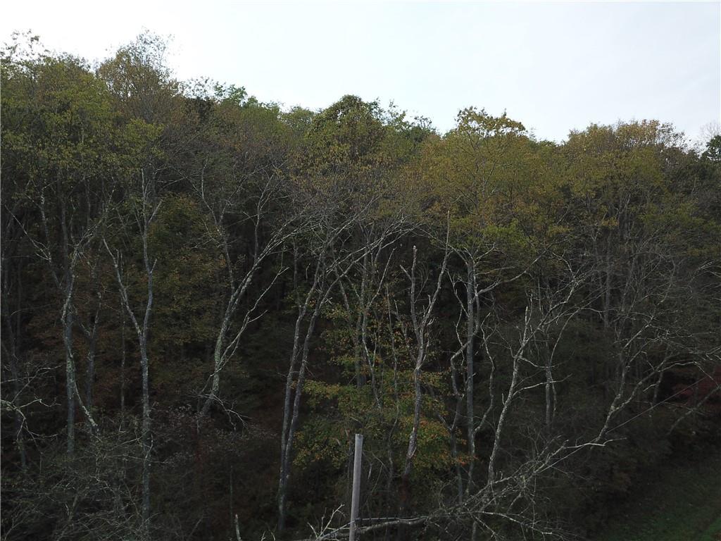 Lot#3 Robinson Run Road Butler, PA 16002 - Photo 8 of 16 a view of a forest with a mountain