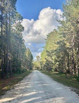 696 Bedon Road Walterboro, SC 29488 - Photo 3 of 14 image