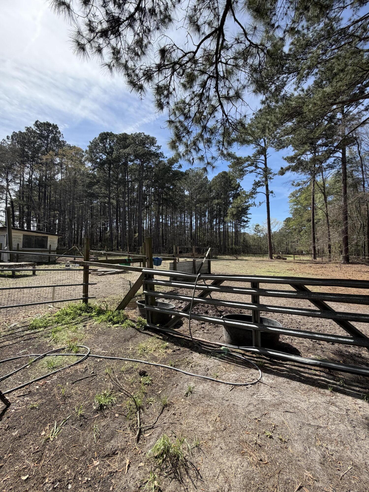 696 Bedon Road Walterboro, SC 29488 - Photo 8 of 14 IMG_0118