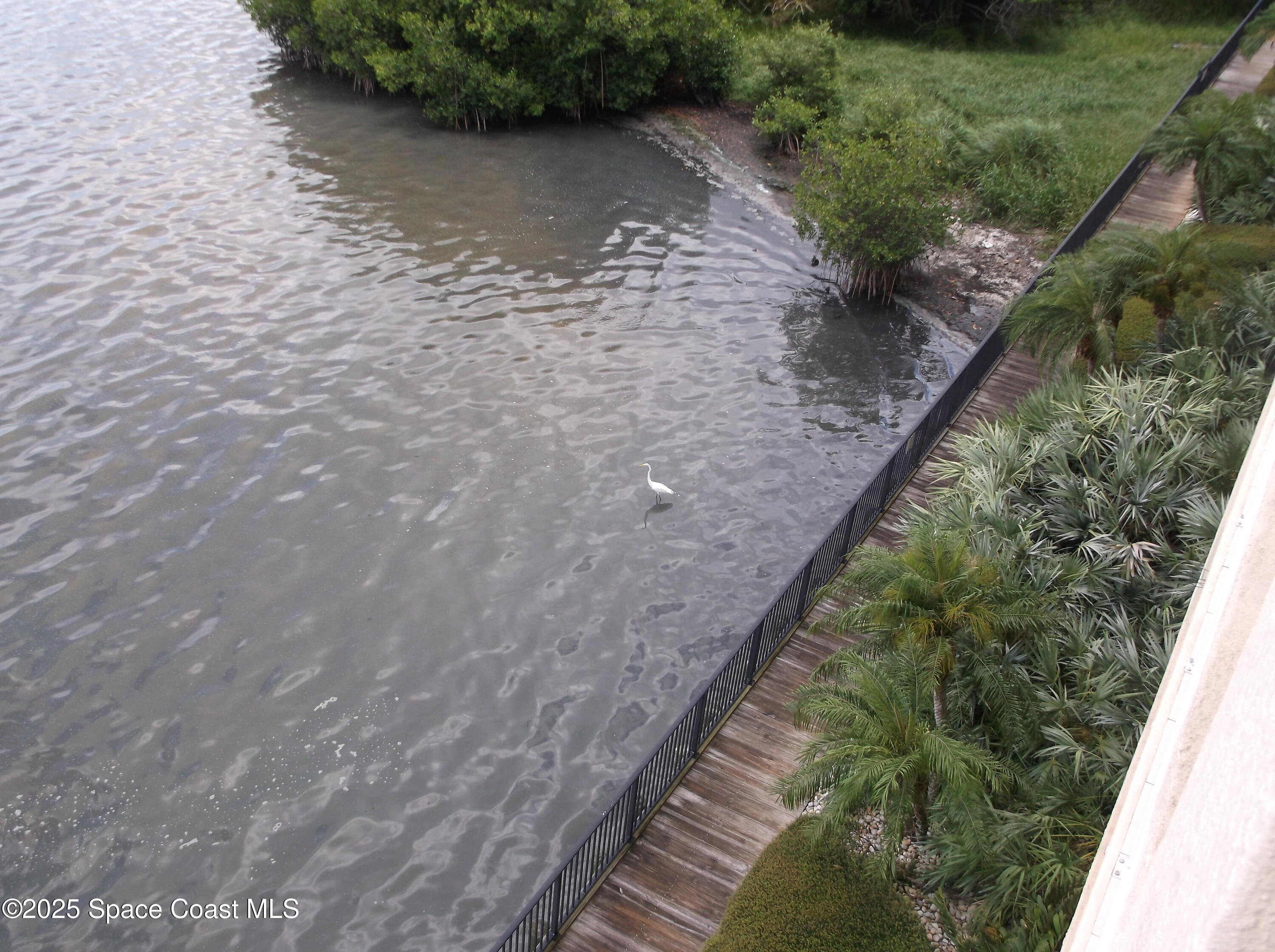 480 Sail Lane, Unit 302 Merritt Island, FL 32953 - Photo 21 of 21 a view of a garden with a pathway