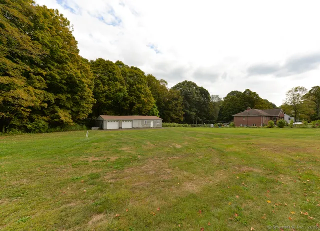 a view of a field with large trees