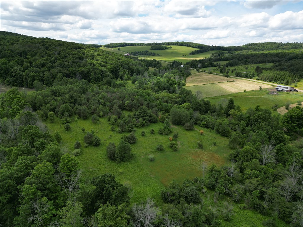 2797 Gunn Road Troupsburg, NY 14885 - Photo 47 of 50