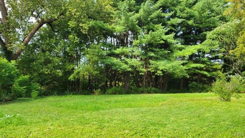 2329 Bacon Road, Unit 3 McGraw, NY 13101 - Photo 27 of 28 Private yard