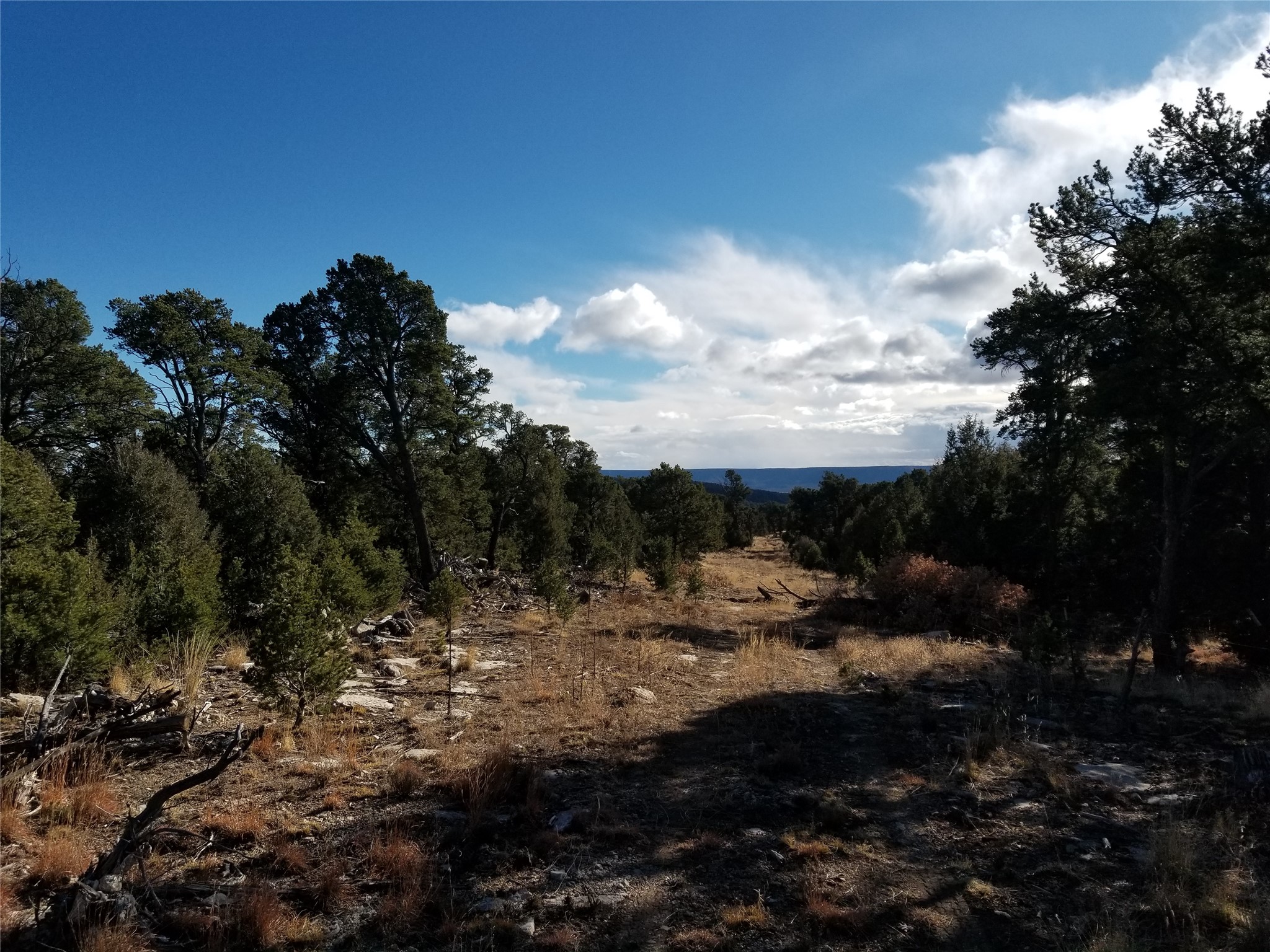 Tbd Tbd Pecos Pecos, NM 87552 - Photo 1 of 6