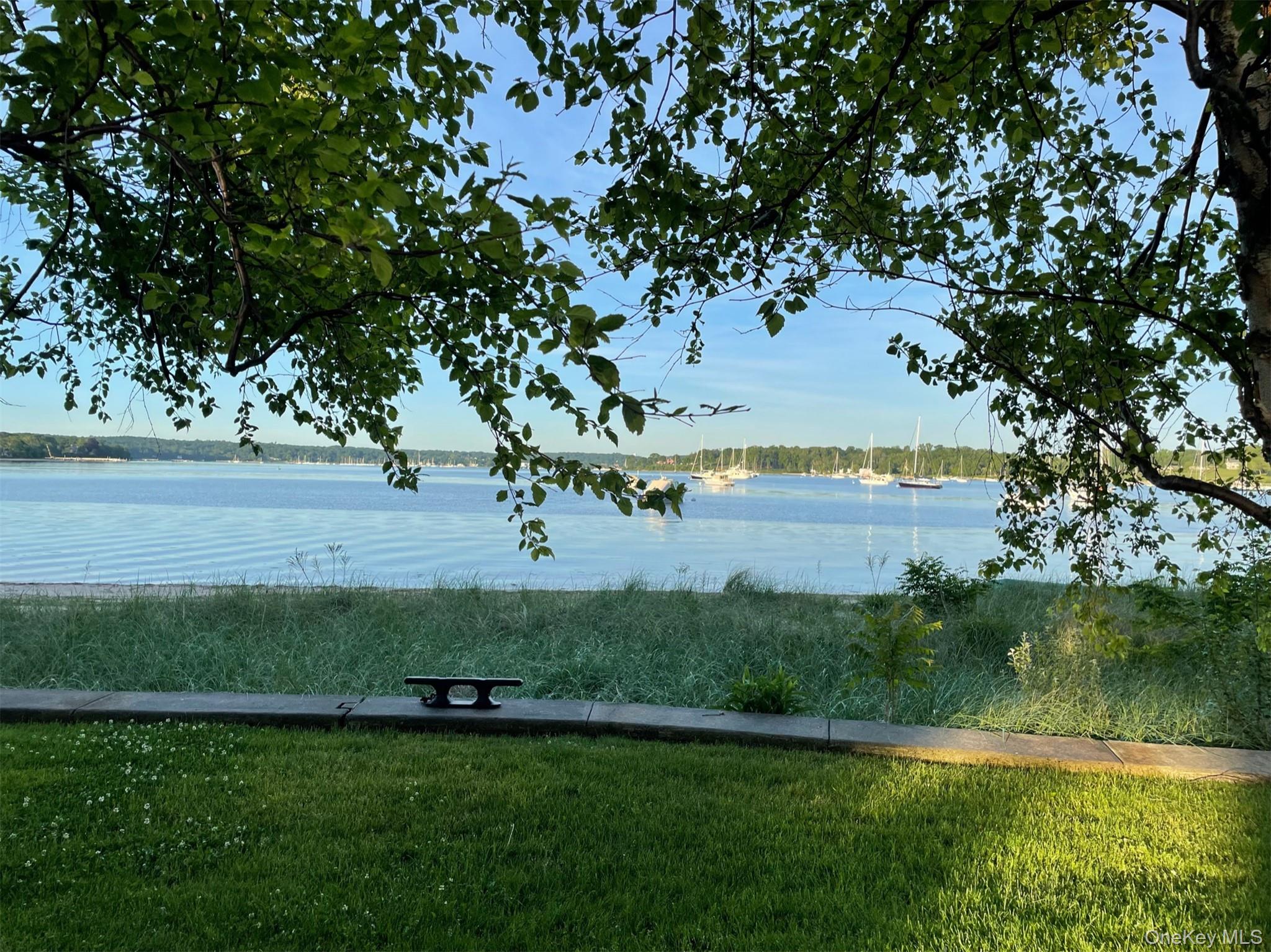 336 Centre Island Road Oyster Bay, NY 11771 - Photo 35 of 38 a view of a garden with a tree
