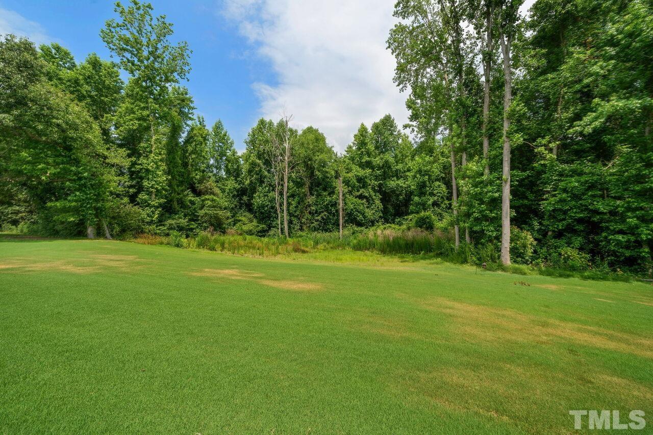 169 Willow Ridge Circle Willow Spring, NC 27592 - Photo 28 of 30 a view of a field with trees in the background