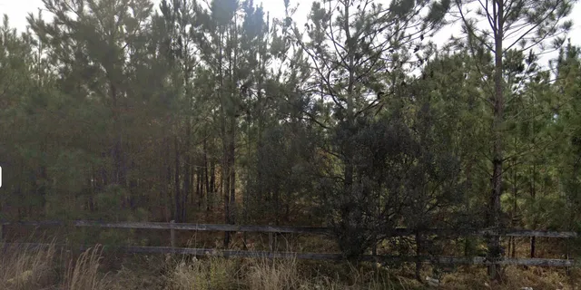 $225,000 | 0 East Elm Street, Hampton, SC 29924