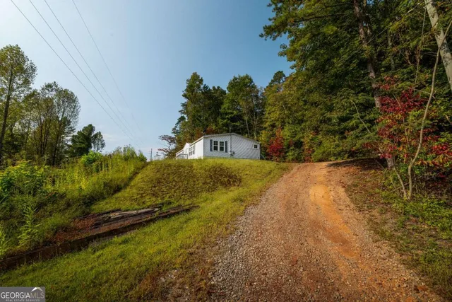 a view of a yard with plants and a large tree