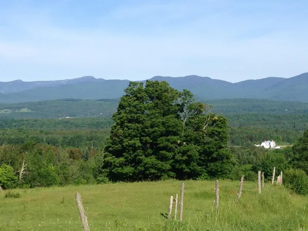 $1,325,000 | 1986 Lower Elmore Mountain Road, Morristown, VT 05661