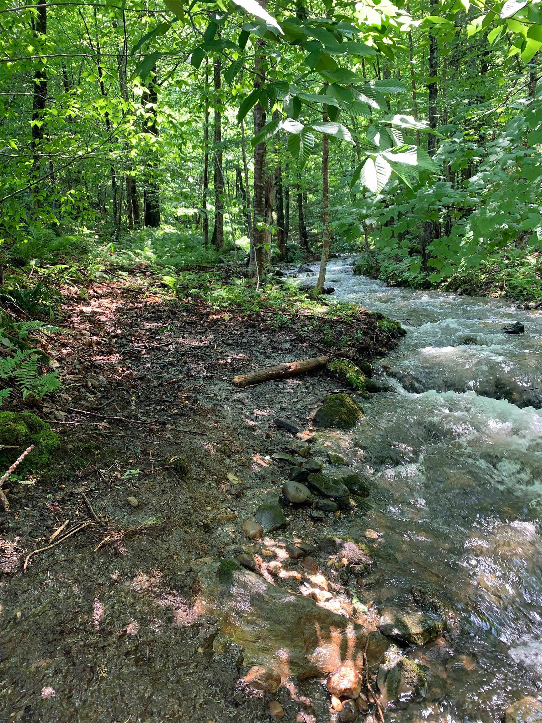 1986 Lower Elmore Mountain Road Morristown, VT 05661 - Photo 45 of 60