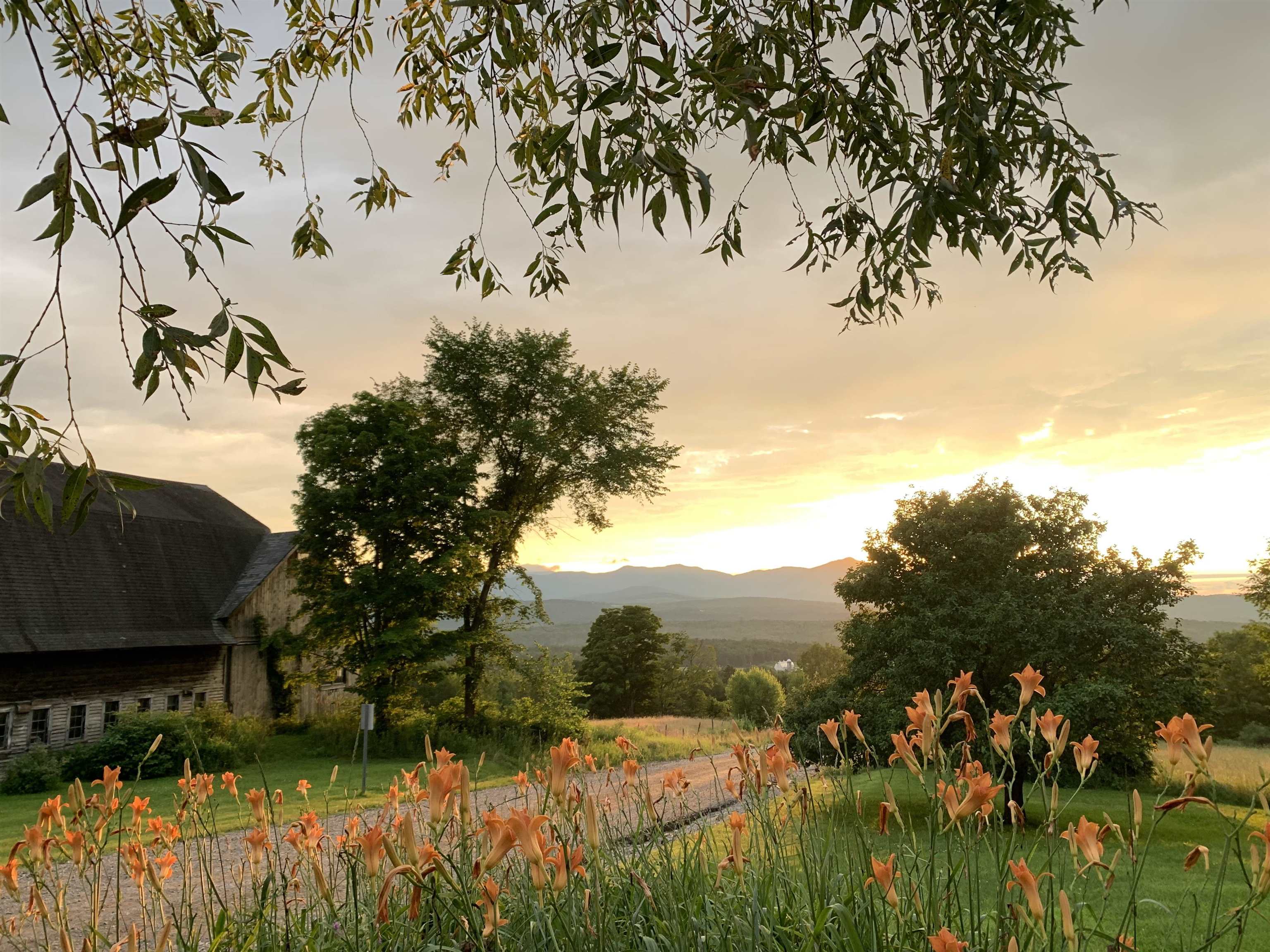 1986 Lower Elmore Mountain Road Morristown, VT 05661 - Photo 46 of 60