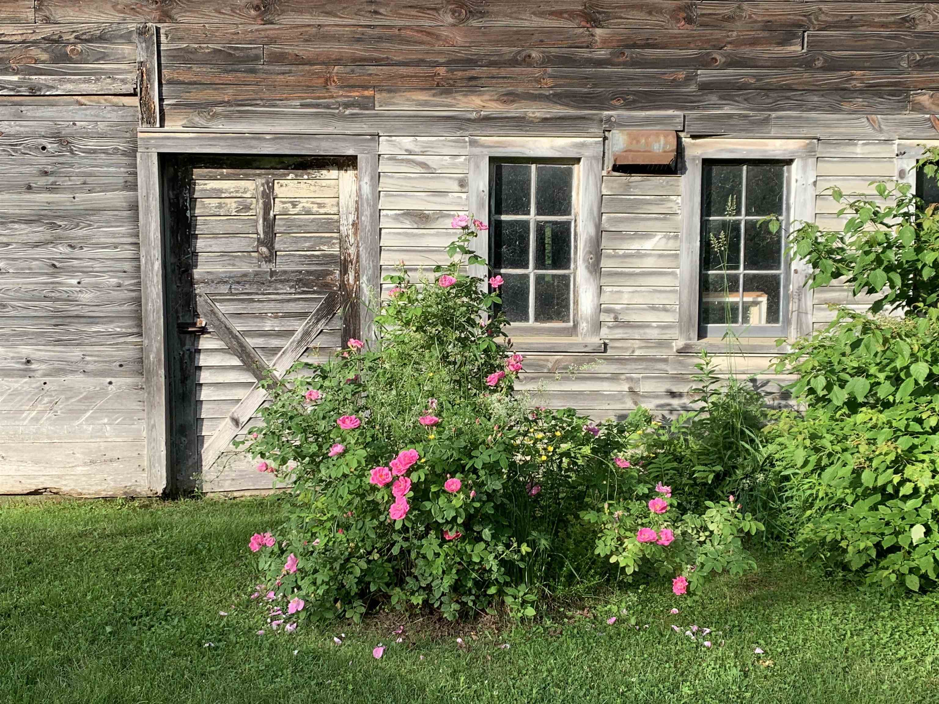 1986 Lower Elmore Mountain Road Morristown, VT 05661 - Photo 50 of 60