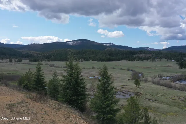 $143,000 | 9 Patriot's Paradise, Fernwood, ID 83830