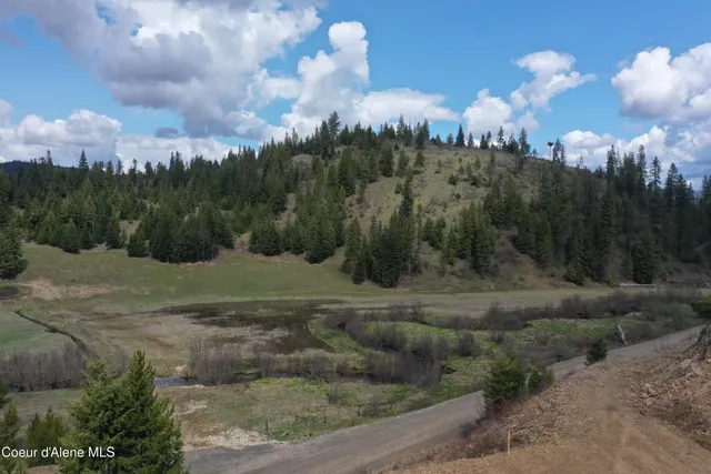 $143,000 | 9 Patriot's Paradise, Fernwood, ID 83830