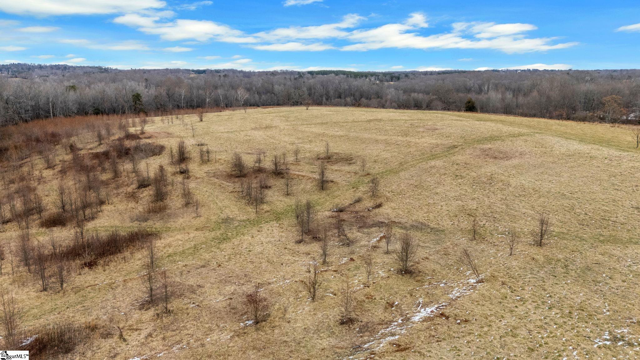 0 Cockrell Road, Unit LOT 4 Greer, SC 29651 - Photo 2 of 5