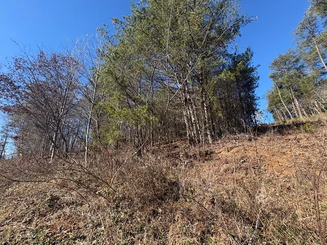 $19,000 | 0 Kimsey Mountain Highway, Copperhill, TN 37317