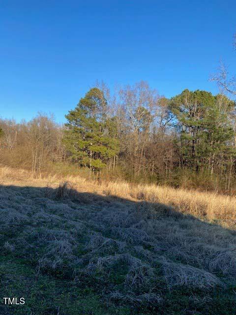 Lot 6 Bunnlevel Erwin Road Erwin, NC 28339 - Photo 3 of 21 3