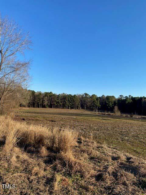 Lot 6 Bunnlevel Erwin Road Erwin, NC 28339 - Photo 4 of 21 4