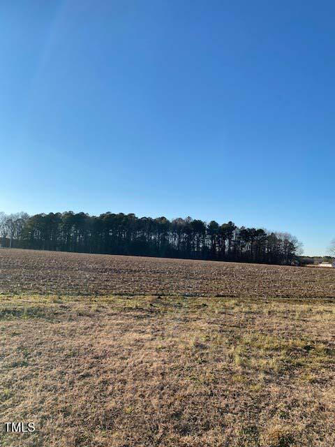 Lot 6 Bunnlevel Erwin Road Erwin, NC 28339 - Photo 8 of 21 8