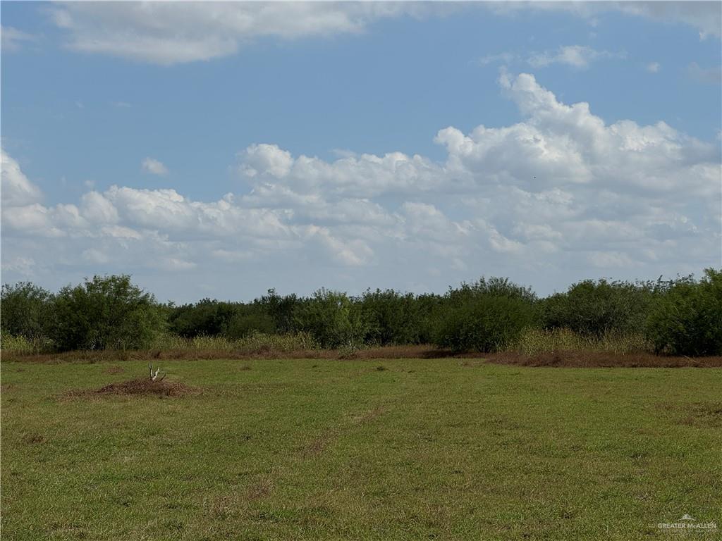 0 Mile 13 Mercedes, TX 78570 - Photo 2 of 4