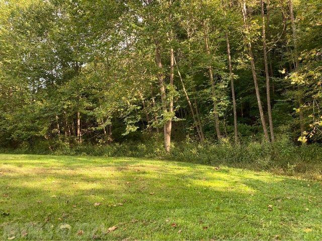 Tbd Pine Run Road Draper, VA 24324 - Photo 14 of 19 Gallery Image 14