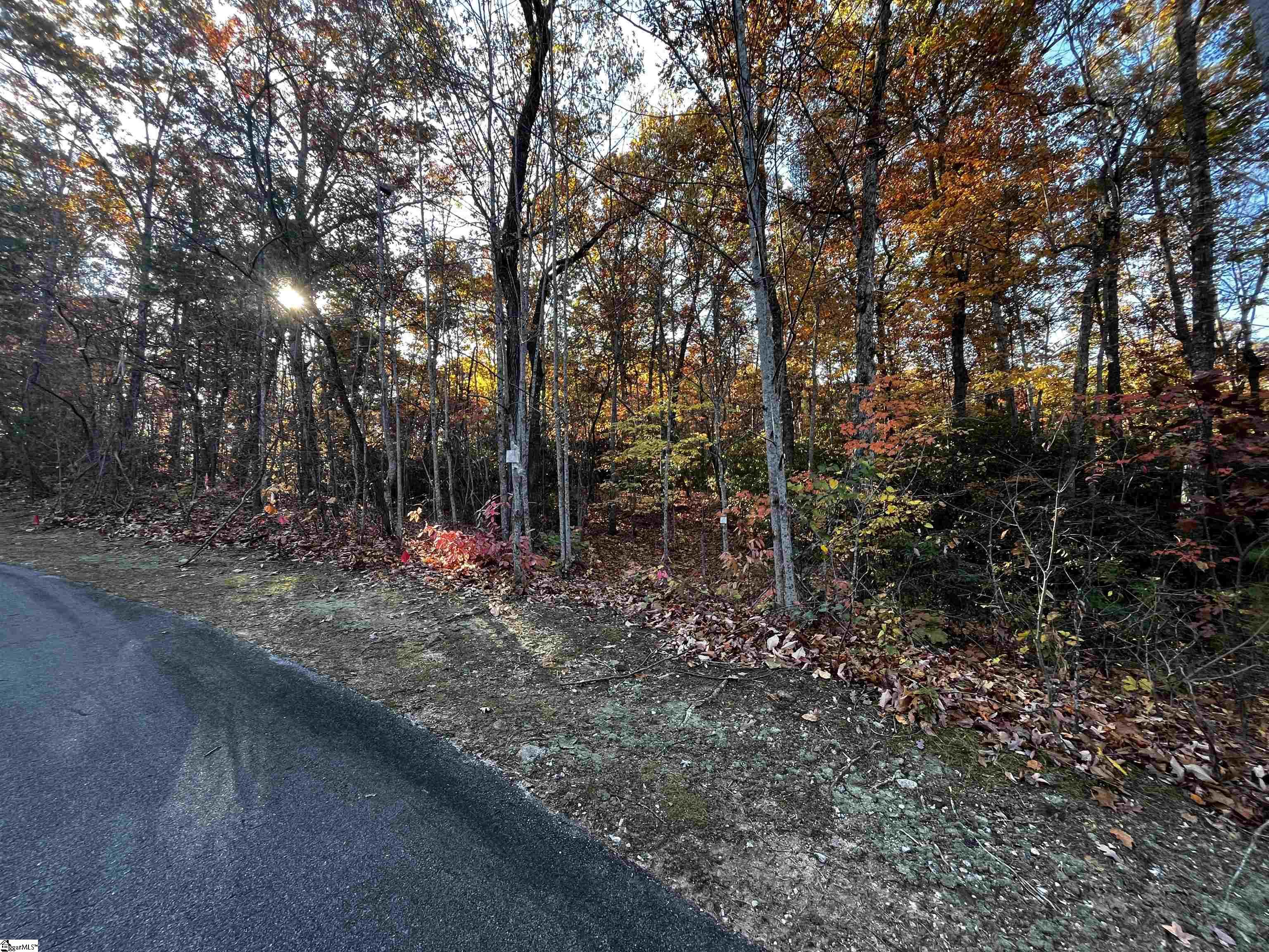 14 R-Pd-161 Travelers Rest, SC 29690 - Photo 2 of 6