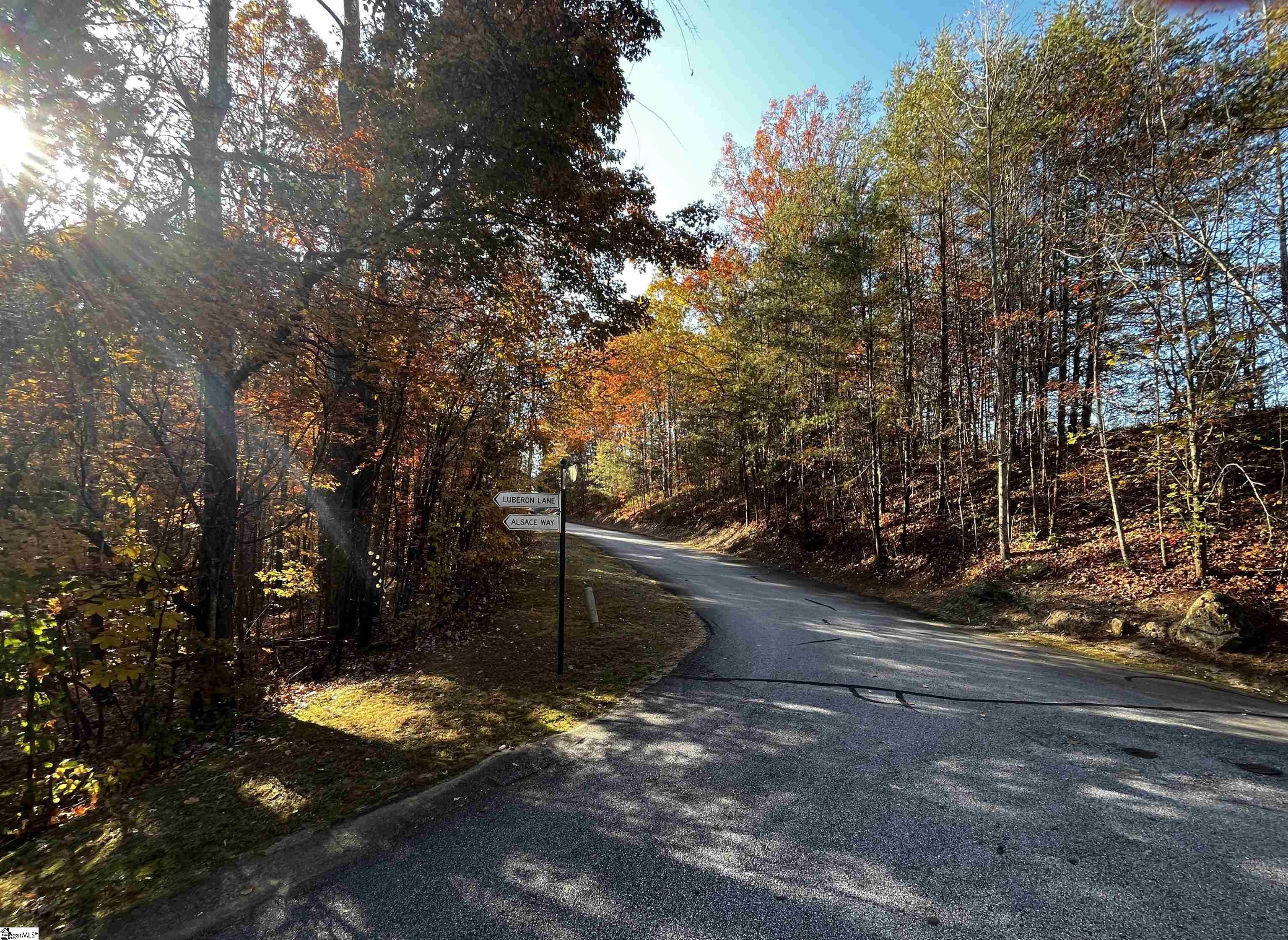 14 R-Pd-161 Travelers Rest, SC 29690 - Photo 5 of 6