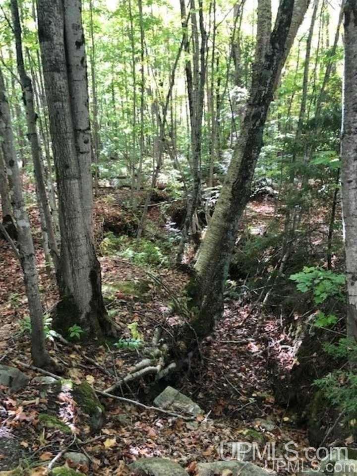 Tbd Koski Road Munising, MI 49862 - Photo 5 of 17