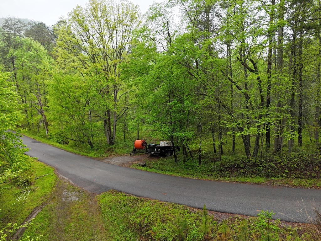 1.22 White Oak Flats Road Blairsville, GA 30512 - Photo 12 of 25 a backyard of a house with lots of green space