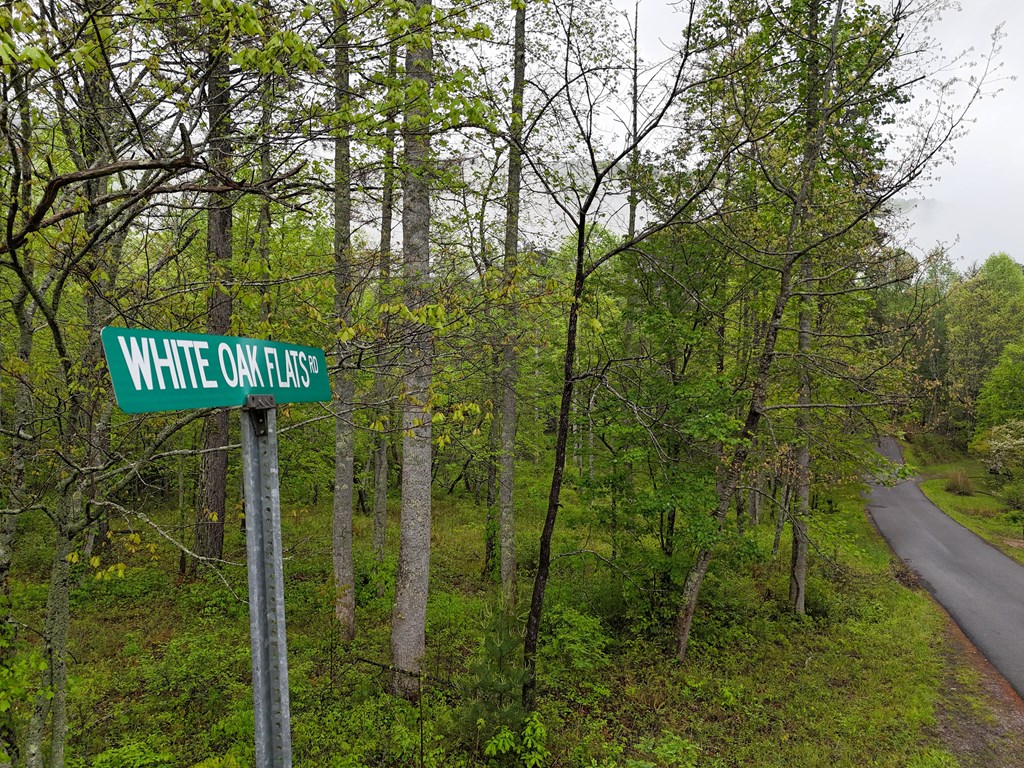 1.22 White Oak Flats Road Blairsville, GA 30512 - Photo 18 of 25 a view of a street sign under a large tree