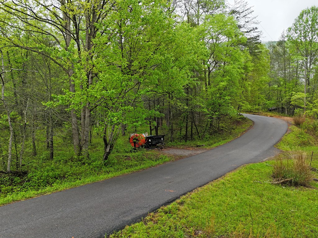 1.22 White Oak Flats Road Blairsville, GA 30512 - Photo 19 of 25 a view of a park