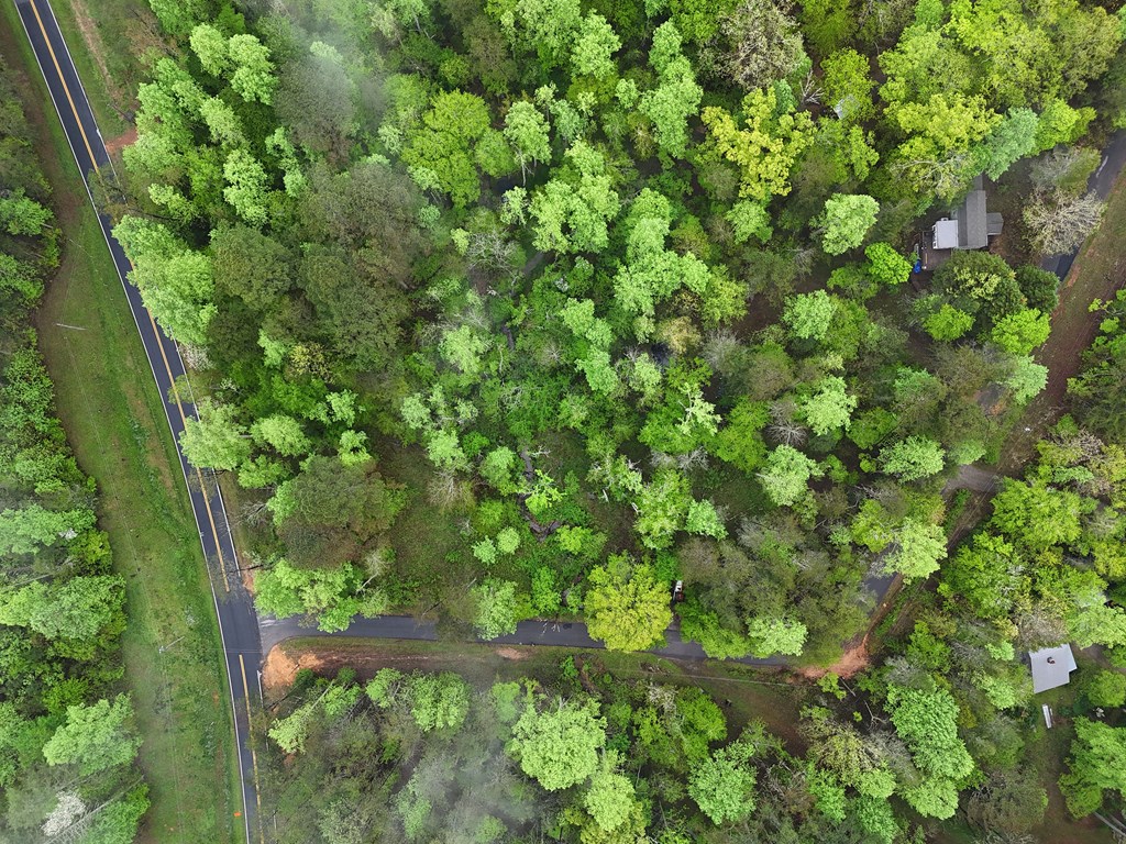 1.22 White Oak Flats Road Blairsville, GA 30512 - Photo 22 of 25 a view of a garden