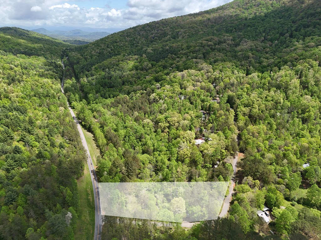 1.22 White Oak Flats Road Blairsville, GA 30512 - Photo 25 of 25 a view of a yard with plants and large trees