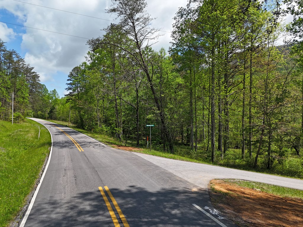 1.22 White Oak Flats Road Blairsville, GA 30512 - Photo 5 of 25 a view of a street