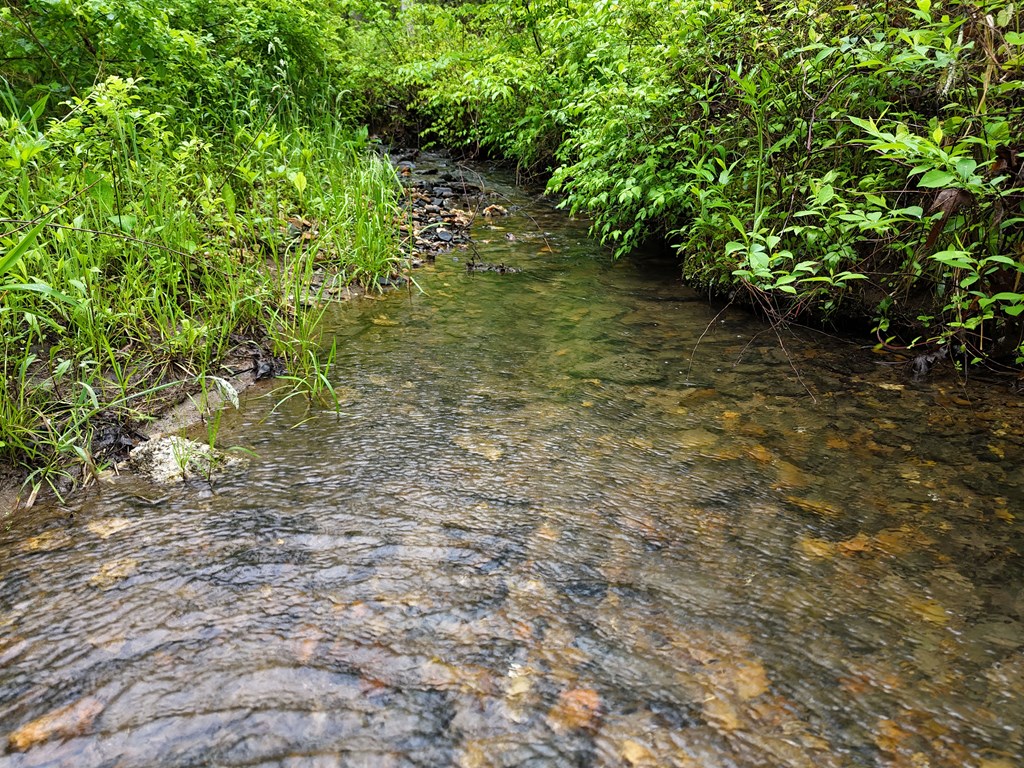 1.22 White Oak Flats Road Blairsville, GA 30512 - Photo 6 of 25 a backyard of a house with lots of green space and garden