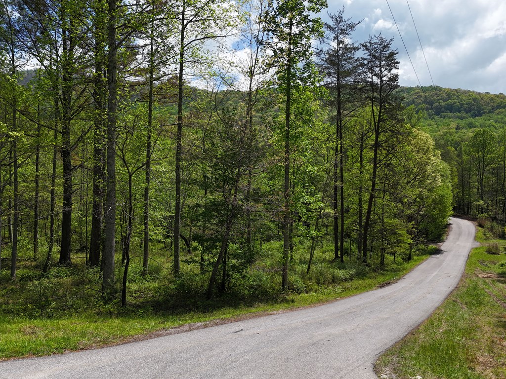 1.22 White Oak Flats Road Blairsville, GA 30512 - Photo 10 of 25 a view of a park with large trees