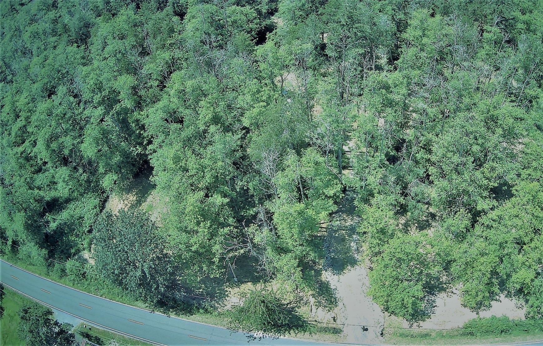 6581 Olson Road Ferndale, WA 98248 - Photo 3 of 27 an aerial view of a forest with houses