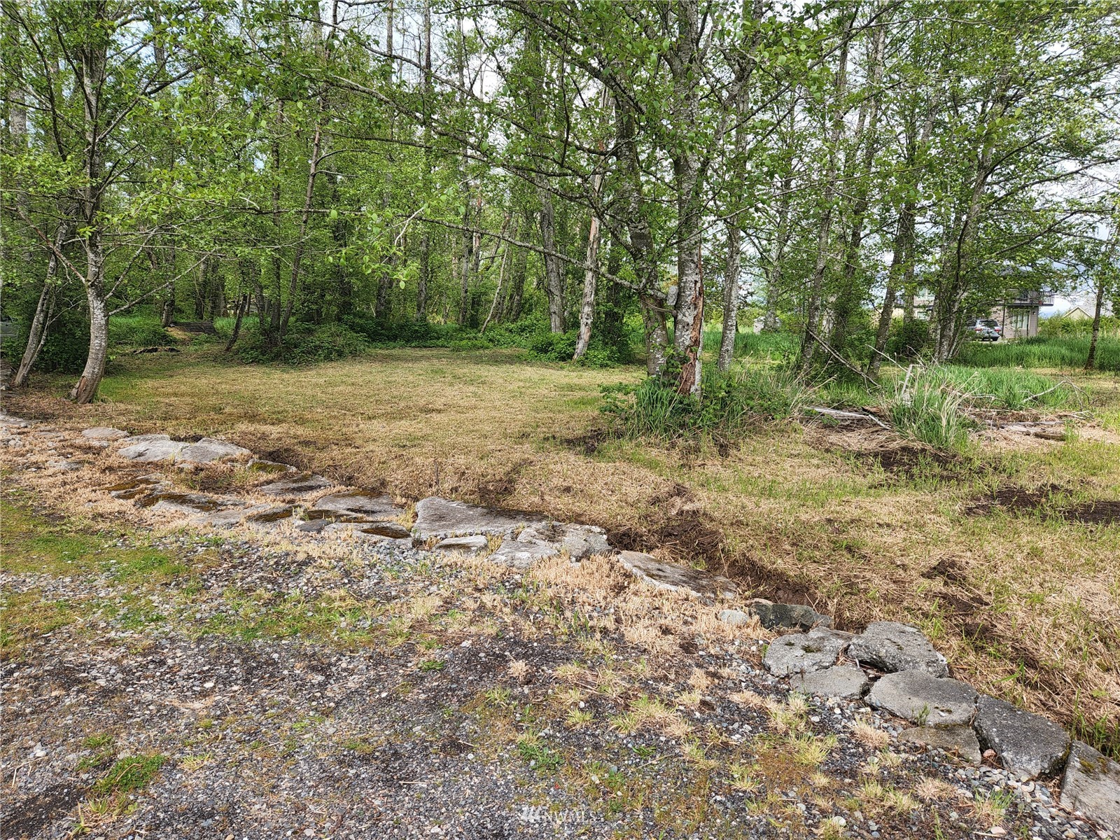 6581 Olson Road Ferndale, WA 98248 - Photo 7 of 27 a view of outdoor space with trees