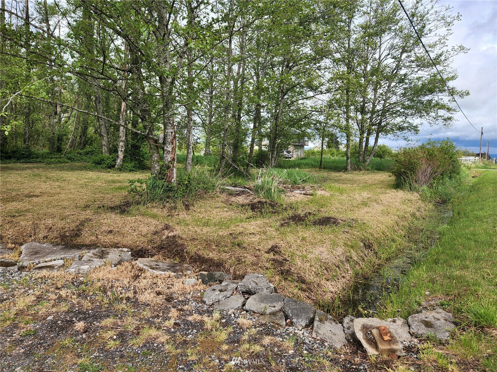 6581 Olson Road Ferndale, WA 98248 - Photo 8 of 27 a view of a yard with a tree