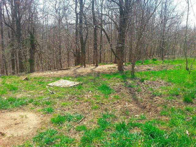 1659 Hensley Chapel Road Sparta, TN 38583 - Photo 3 of 5 View of Property