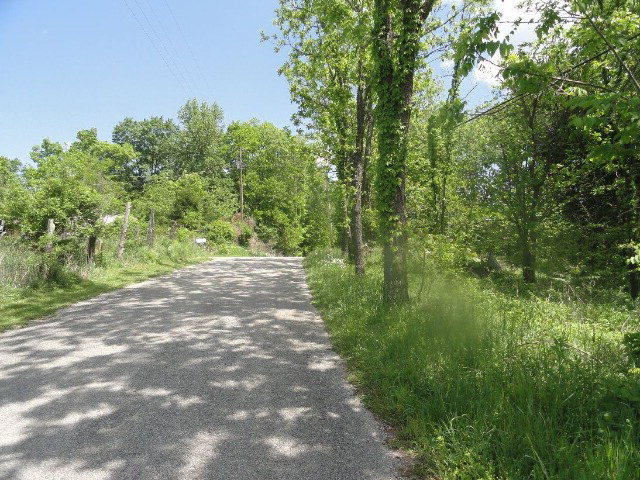 1659 Hensley Chapel Road Sparta, TN 38583 - Photo 4 of 5 Road View