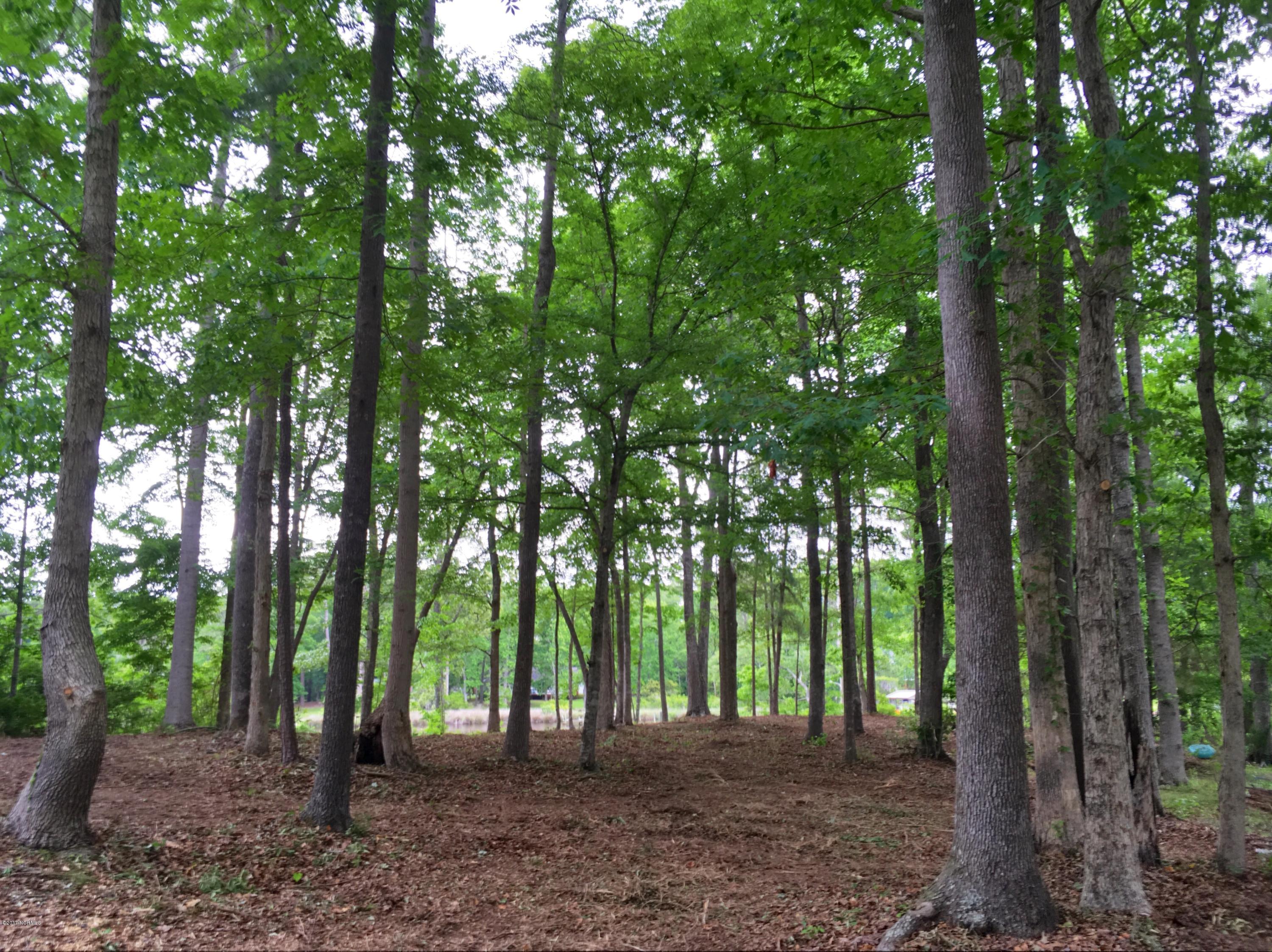Lot 23 Treasure Point Road Bath, NC 27808 - Photo 8 of 17 20170509_203958536_iOS